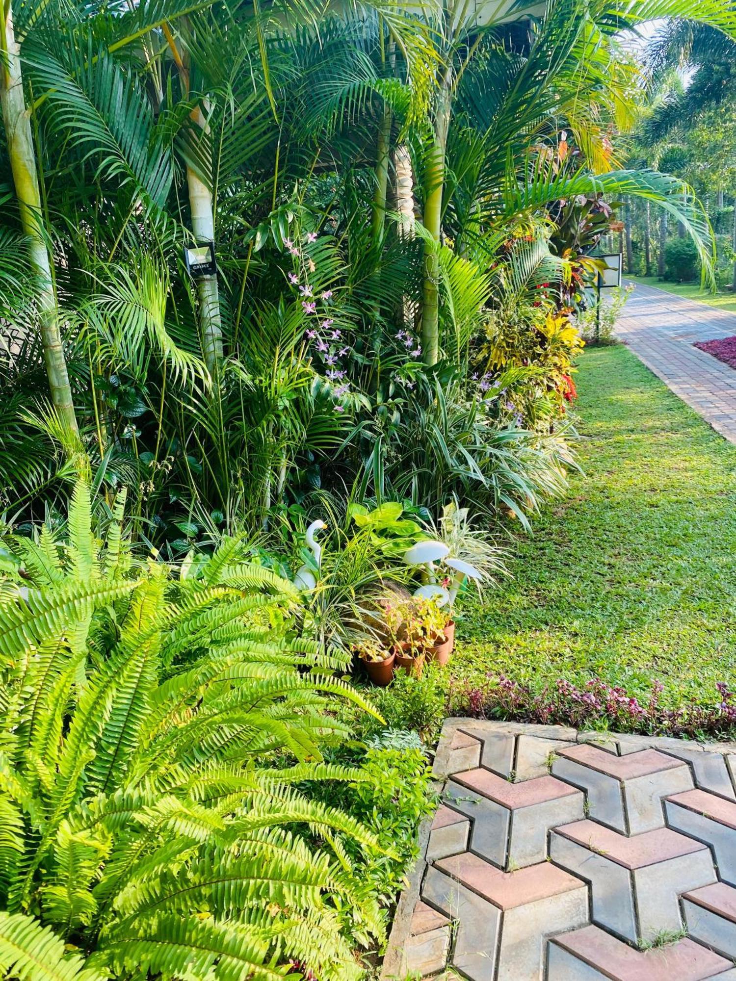 Waasala Leisure Otel Anuradhapura Dış mekan fotoğraf