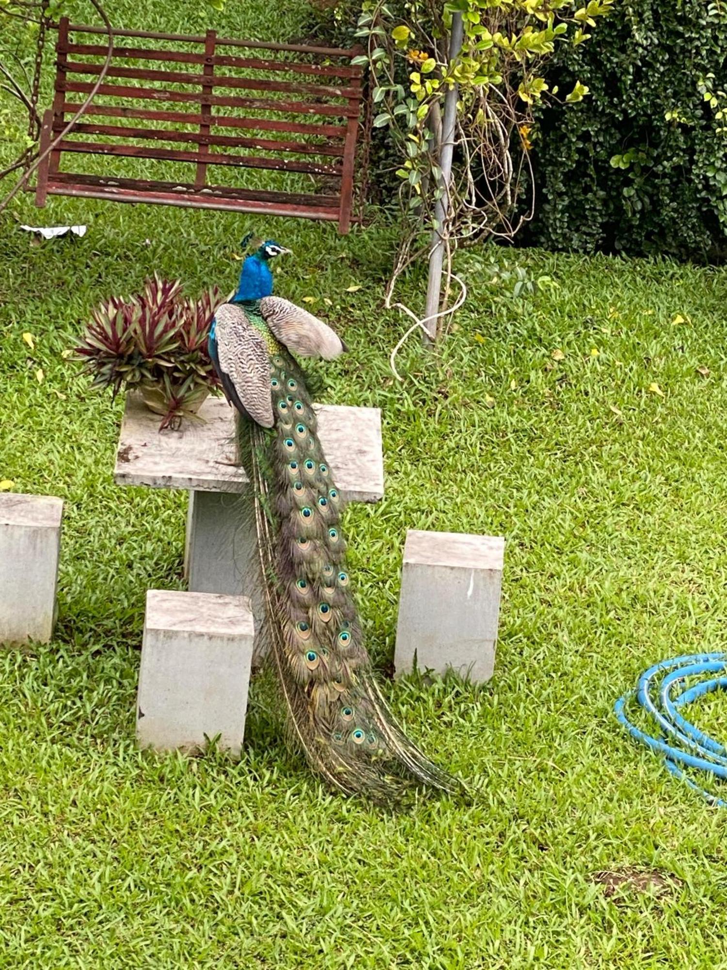 Waasala Leisure Otel Anuradhapura Dış mekan fotoğraf