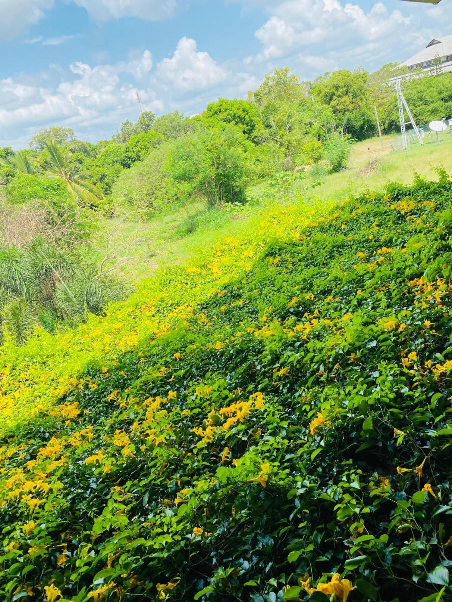 Waasala Leisure Otel Anuradhapura Dış mekan fotoğraf