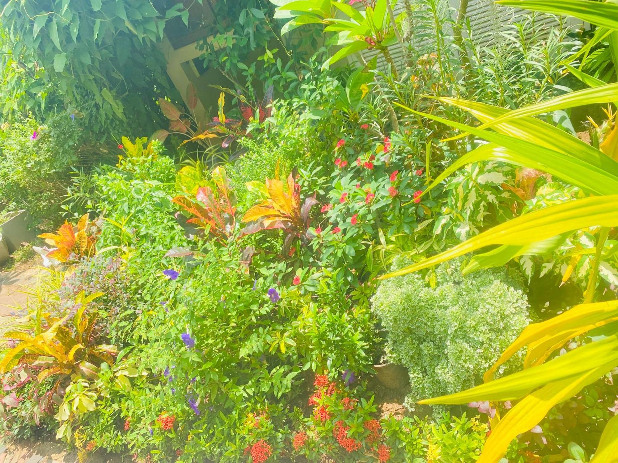 Waasala Leisure Otel Anuradhapura Dış mekan fotoğraf