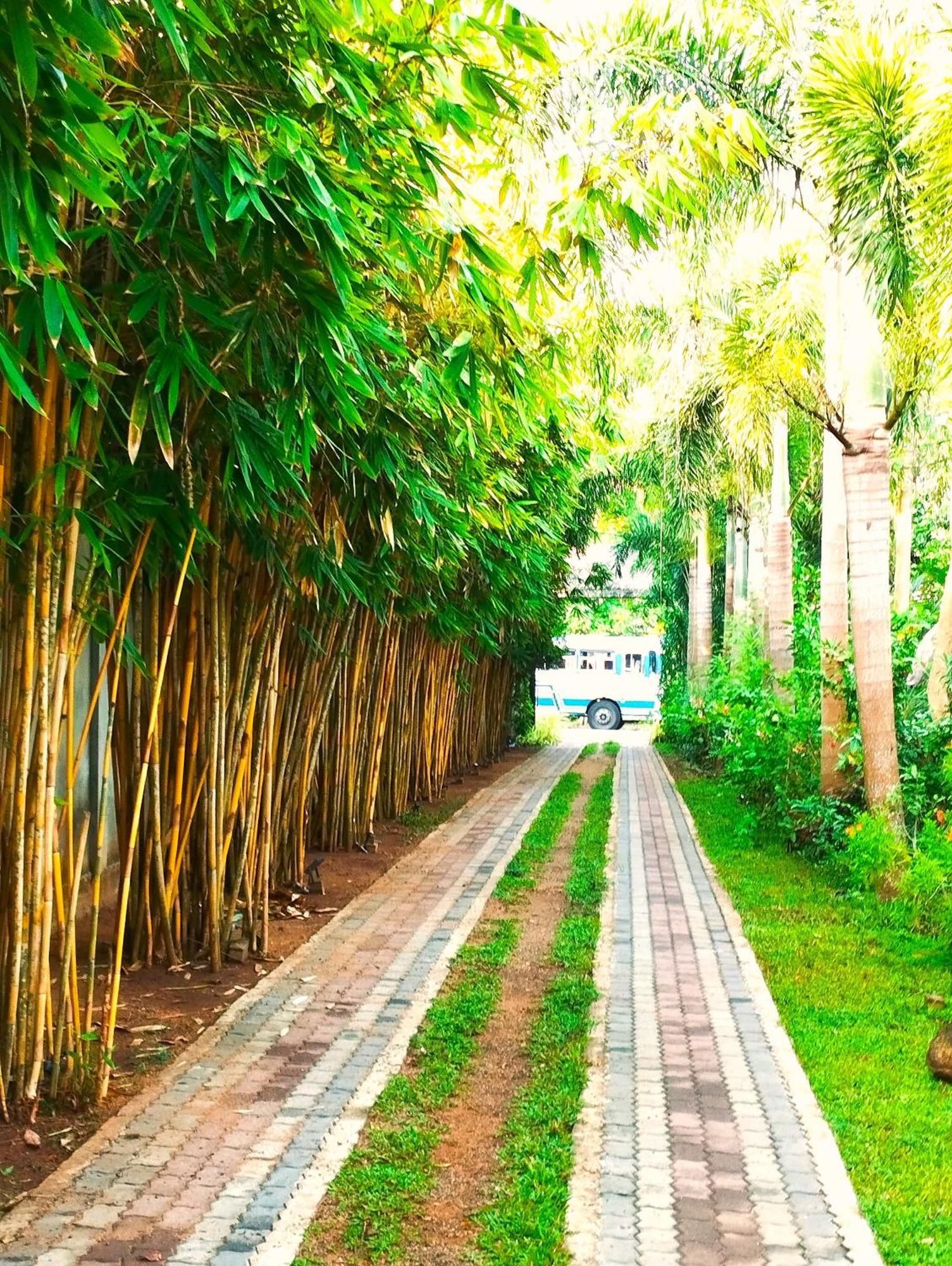 Waasala Leisure Otel Anuradhapura Dış mekan fotoğraf